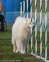 20220918-pvkc-3049