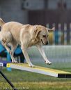 20220918-pvkc-3063