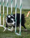 20220918-pvkc-3098