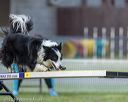 20220918-pvkc-3101