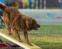 20220918-pvkc-3109