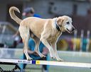 20220918-pvkc-3160