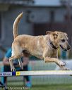 20220918-pvkc-3174