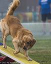 20220918-pvkc-3004