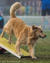 20220918-pvkc-3010