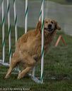 20220918-pvkc-3018