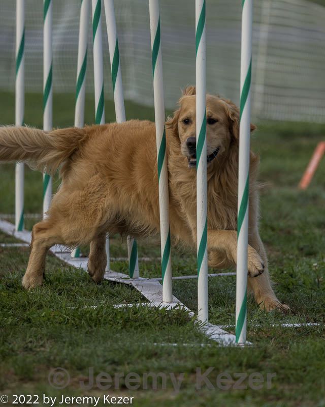 20220918-pvkc-3014.jpg
