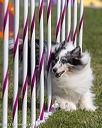 20230916-pvkc-1121