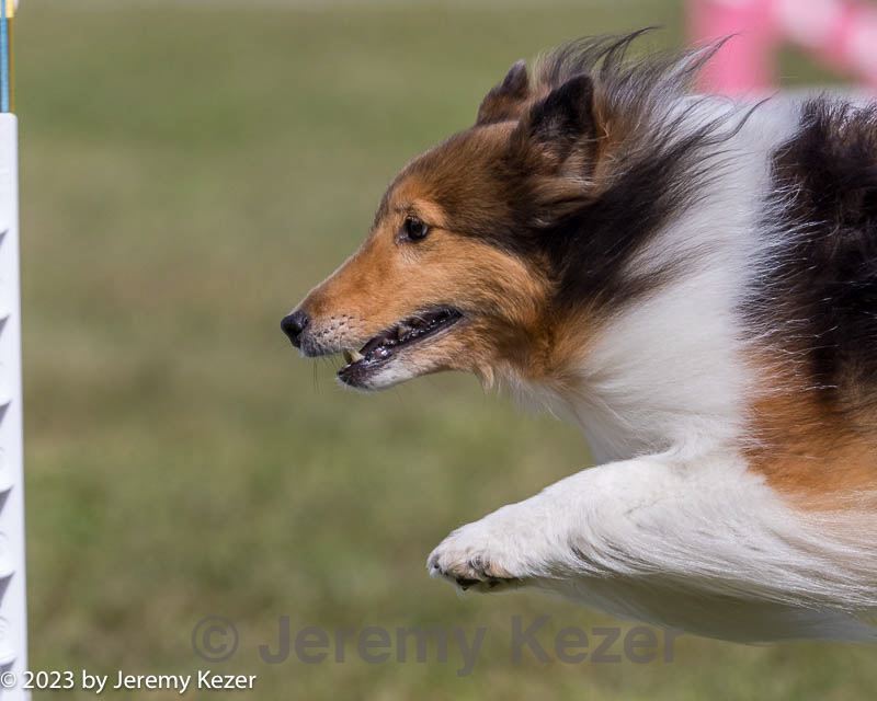20230916-pvkc-1111.jpg