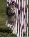 20230916-pvkc-1292