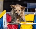 20230916-pvkc-1341