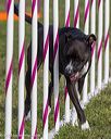 20230916-pvkc-1474