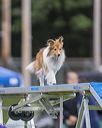 20230916-pvkc-0016
