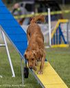 20230916-pvkc-0622
