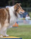 20230916-pvkc-0660