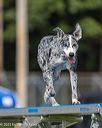 20230916-pvkc-0734