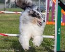20230916-pvkc-1599