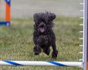 20230916-pvkc-2001