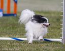 20230916-pvkc-2008