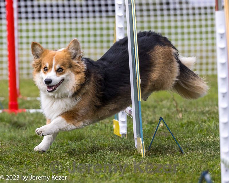 20230916-pvkc-2017.jpg