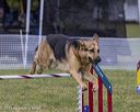 20230917-pvkc-3107