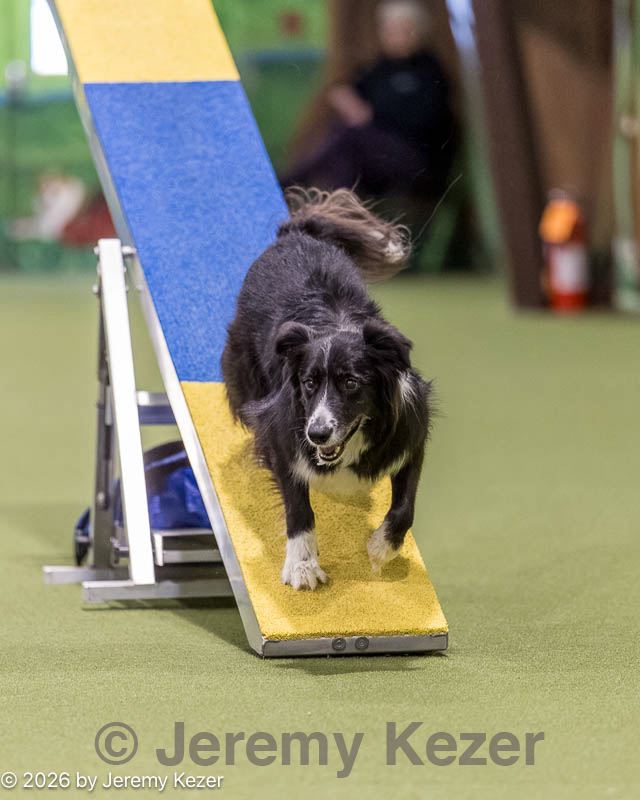 20260103-acnh-2303.jpg