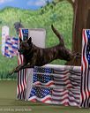20260103-acnh-2205