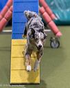 20260104-acnh-0362