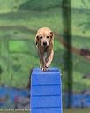 20260104-acnh-0394