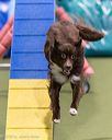 20260104-acnh-0437