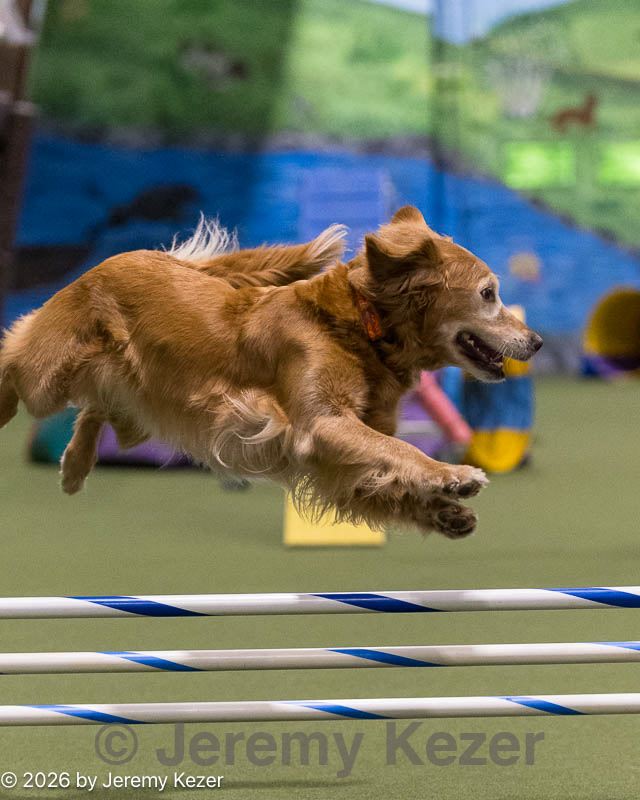 20260221-0708.jpg