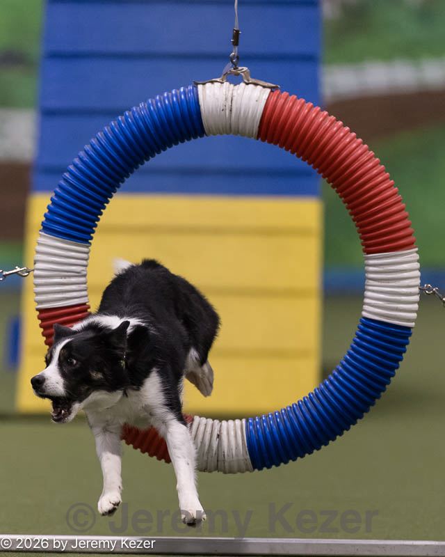 20260222-1134.jpg