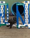 20260613-ccm-0026