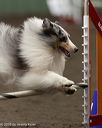 20260613-ccm-0076