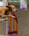 20260613-ccm-0146