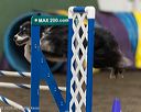 20260613-ccm-0160
