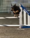 20260613-ccm-0203