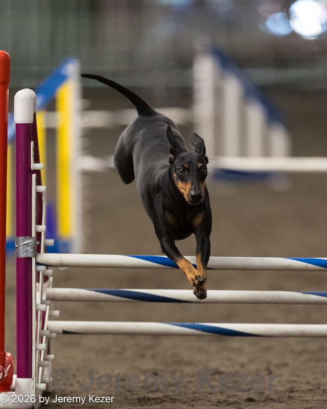 20260613-ccm-0181.jpg