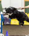 20260613-ccm-0298