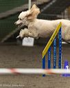 20260613-ccm-0330