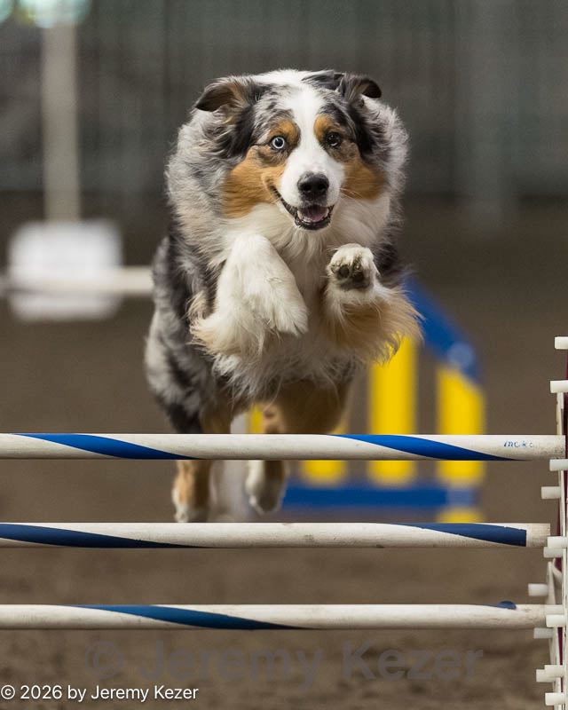 20260613-ccm-0320.jpg