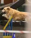 20260613-ccm-0343