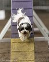 20260613-ccm-0405