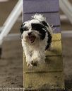 20260613-ccm-0424