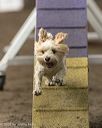 20260613-ccm-0438