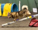 20260613-ccm-0468
