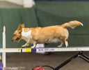 20260613-ccm-0473