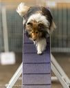 20260613-ccm-0491