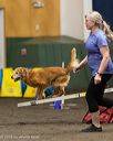 20260613-ccm-0587