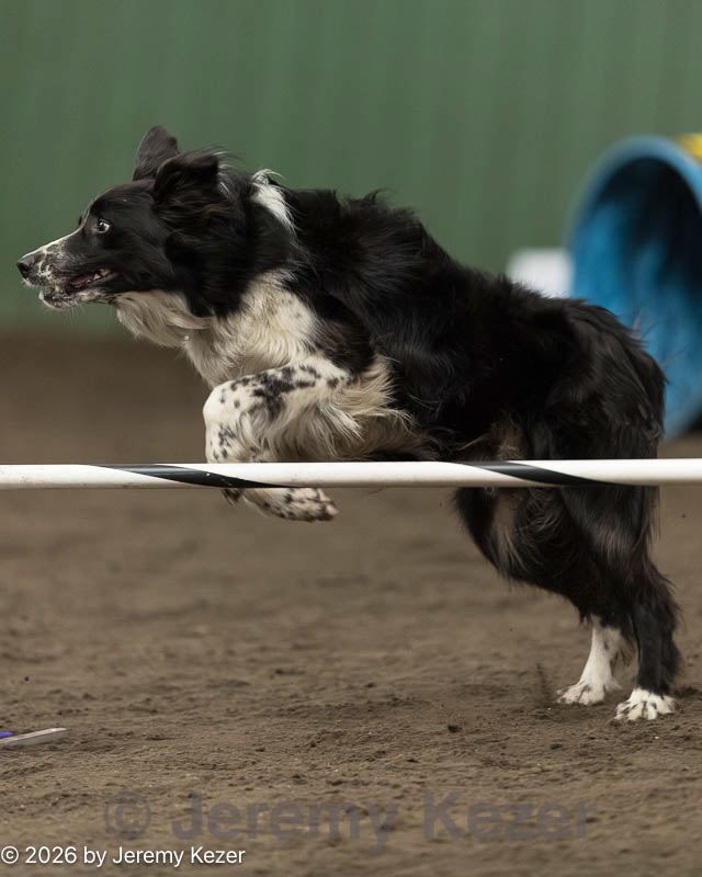 20260613-ccm-1125.jpg